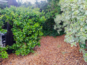 Enlarge photo 36