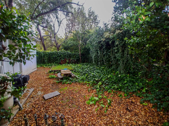 Enlarge photo 40