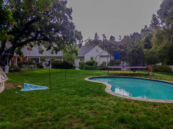 Enlarge photo 44