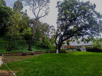 Enlarge photo 45