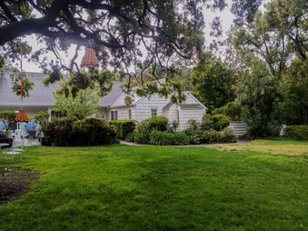 Enlarge photo 48