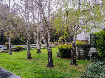 Enlarge photo 74