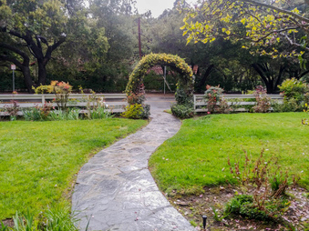 Enlarge photo 84
