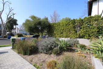 Enlarge photo 6
