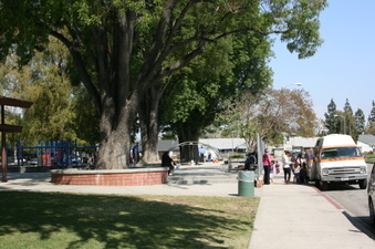 Enlarge photo 5