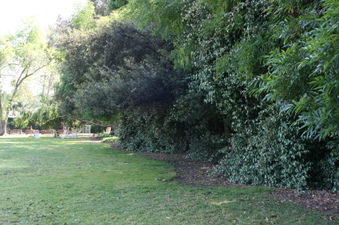 Enlarge photo 7