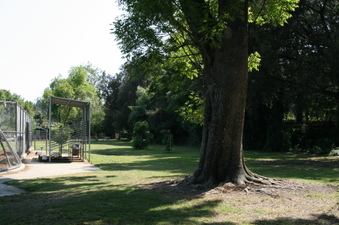 Enlarge photo 12