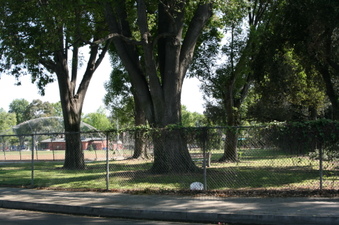 Enlarge photo 17