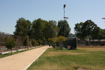 Enlarge photo 30