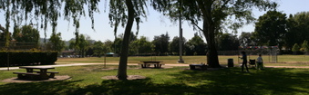 Enlarge photo 32