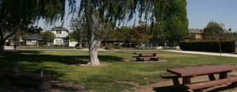 Enlarge photo 33