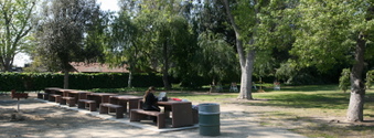 Enlarge photo 35