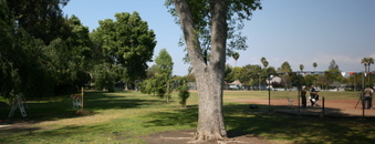 Enlarge photo 36