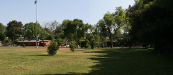 Enlarge photo 40
