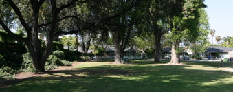 Enlarge photo 41