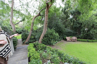 Enlarge photo 31