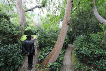 Enlarge photo 33