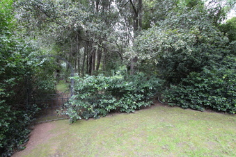 Enlarge photo 40
