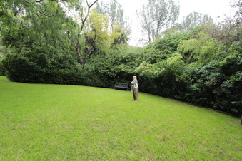 Enlarge photo 42