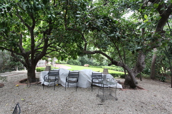 Enlarge photo 48