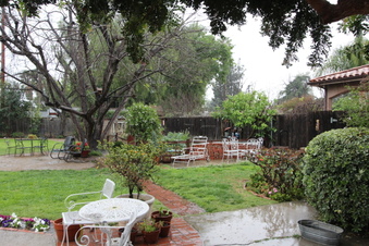 Enlarge photo 99