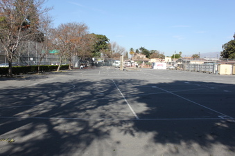 Enlarge photo 35