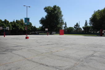 Enlarge photo 54