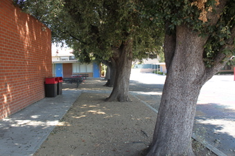 Enlarge photo 57