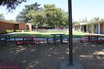 Enlarge photo 59
