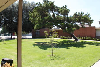 Enlarge photo 67