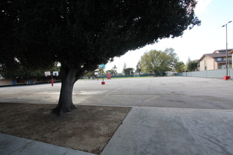 Enlarge photo 196