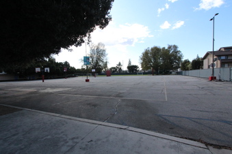 Enlarge photo 195