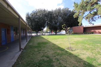 Enlarge photo 175