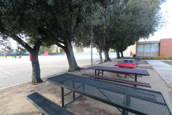 Enlarge photo 173