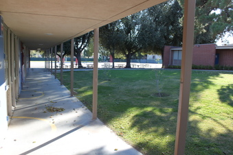 Enlarge photo 121