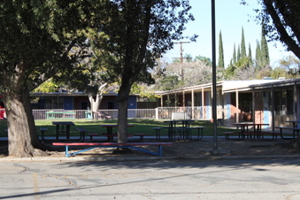 Enlarge photo 135