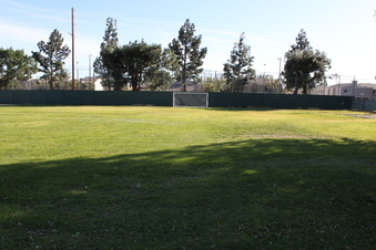 Enlarge photo 140