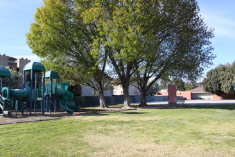 Enlarge photo 146