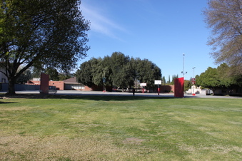 Enlarge photo 145