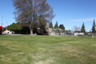Enlarge photo 147