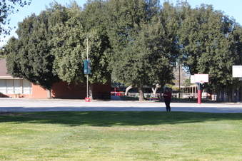 Enlarge photo 148