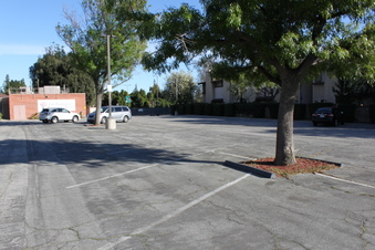 Enlarge photo 162