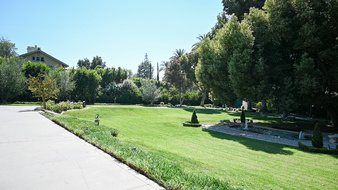 Enlarge photo 7