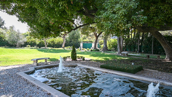 Enlarge photo 8