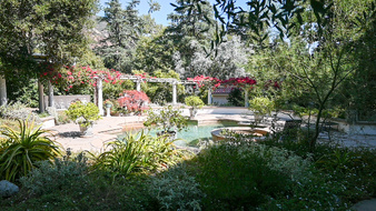 Enlarge photo 32
