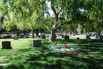 Cemetery 