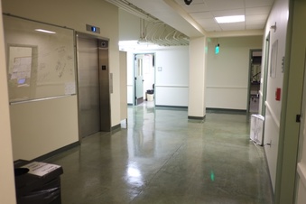 Enlarge photo 41