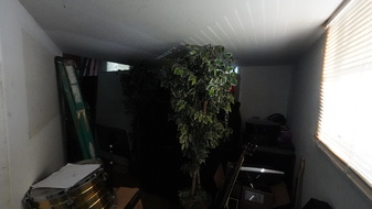 Enlarge photo 29