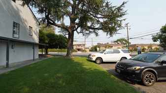 Enlarge photo 66
