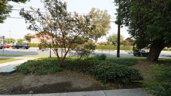 Enlarge photo 74